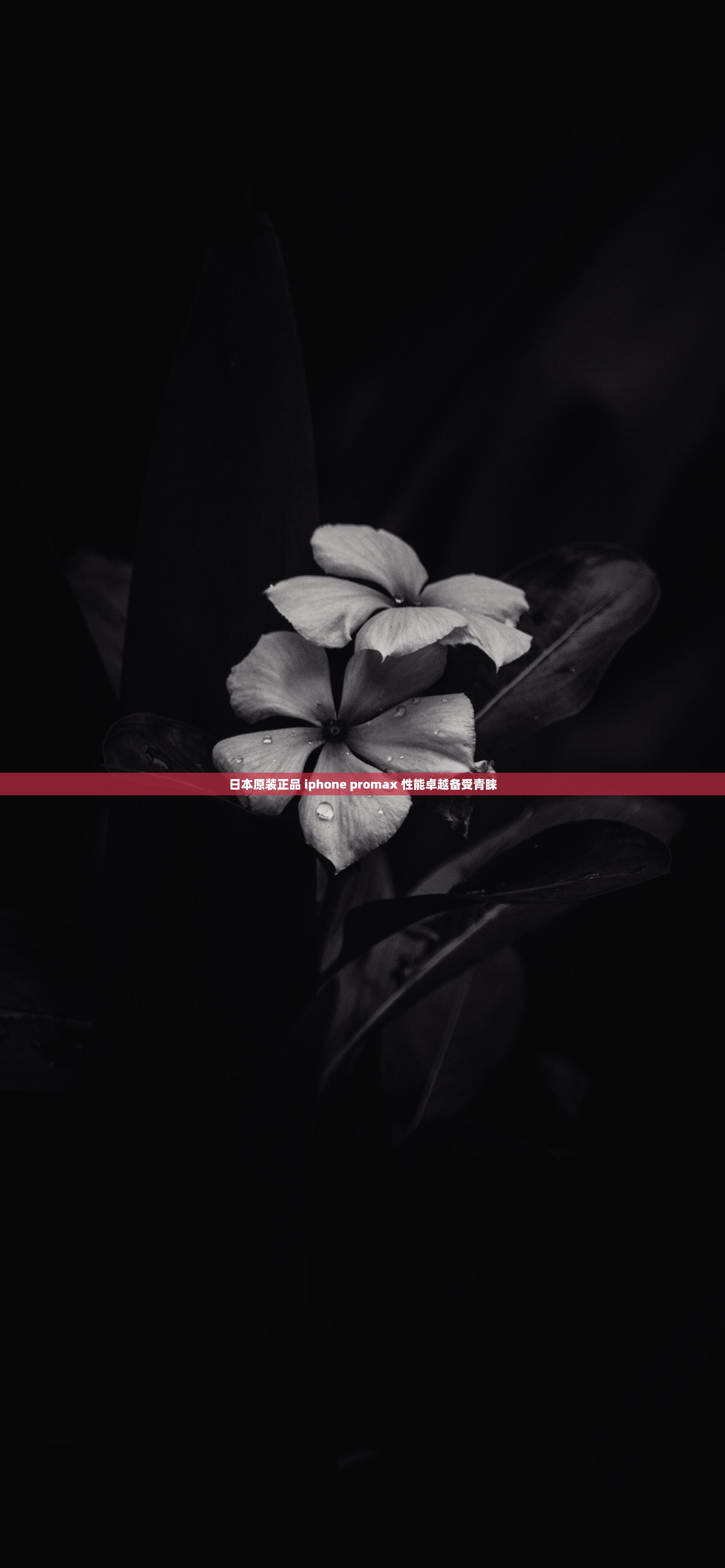 日本原装正品 iphone promax 性能卓越备受青睐
