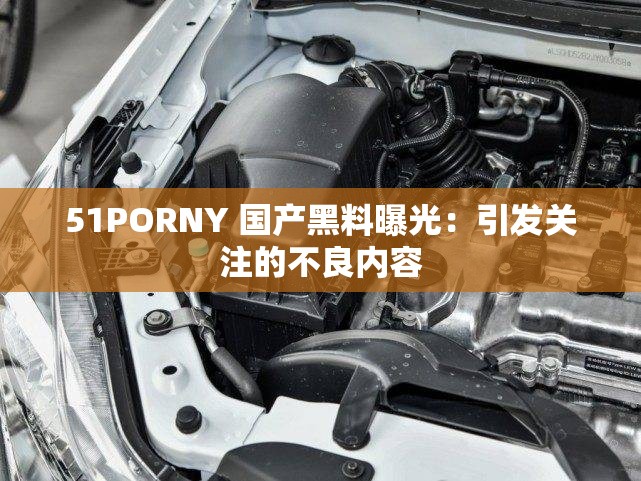 51PORNY 国产黑料曝光：引发关注的不良内容