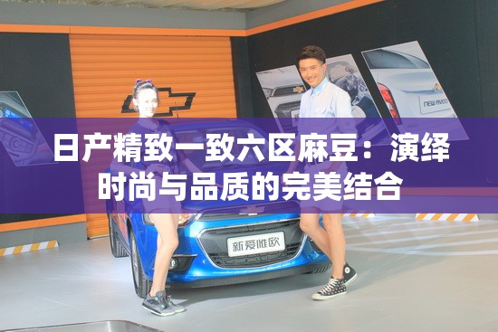 日产精致一致六区麻豆：演绎时尚与品质的完美结合