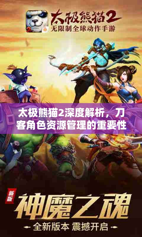 太极熊猫2深度解析，刀客角色资源管理的重要性及实战优化策略探讨