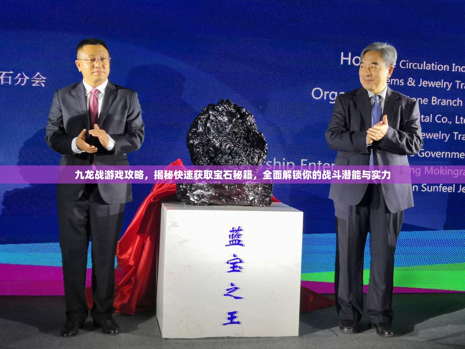 九龙战游戏攻略，揭秘快速获取宝石秘籍，全面解锁你的战斗潜能与实力