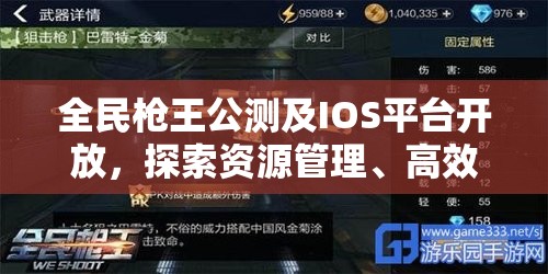 全民枪王公测及IOS平台开放，探索资源管理、高效利用策略以实现价值最大化