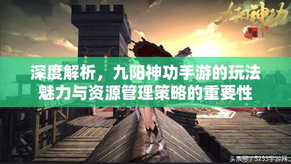 深度解析，九阳神功手游的玩法魅力与资源管理策略的重要性