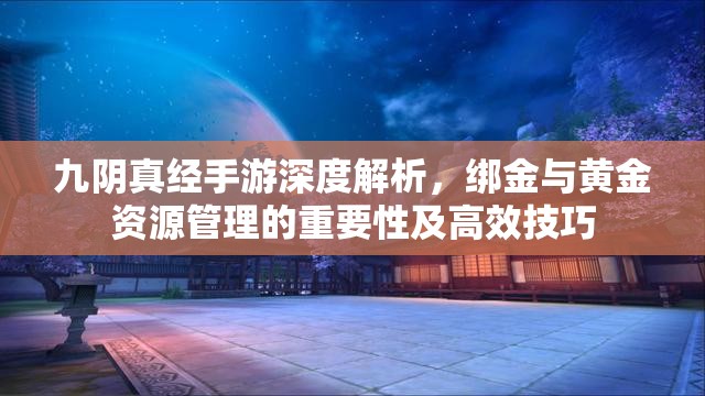 九阴真经手游深度解析，绑金与黄金资源管理的重要性及高效技巧