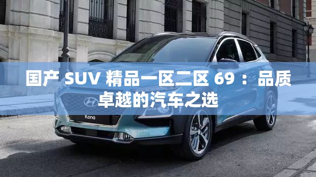 国产 SUV 精品一区二区 69 ：品质卓越的汽车之选