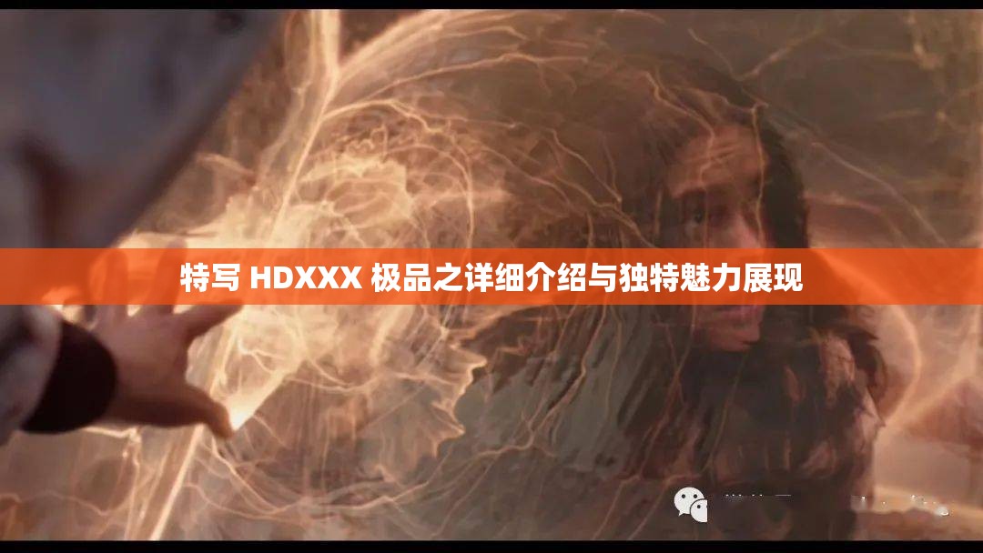 特写 HDXXX 极品之详细介绍与独特魅力展现