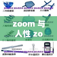 zoom 与人性 zoom 的区别：是效率工具还是人性放大镜