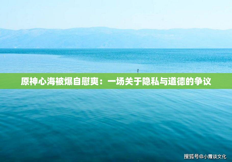原神心海被爆自慰爽：一场关于隐私与道德的争议