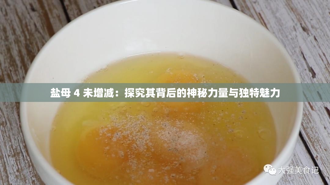 盐母 4 未增减：探究其背后的神秘力量与独特魅力