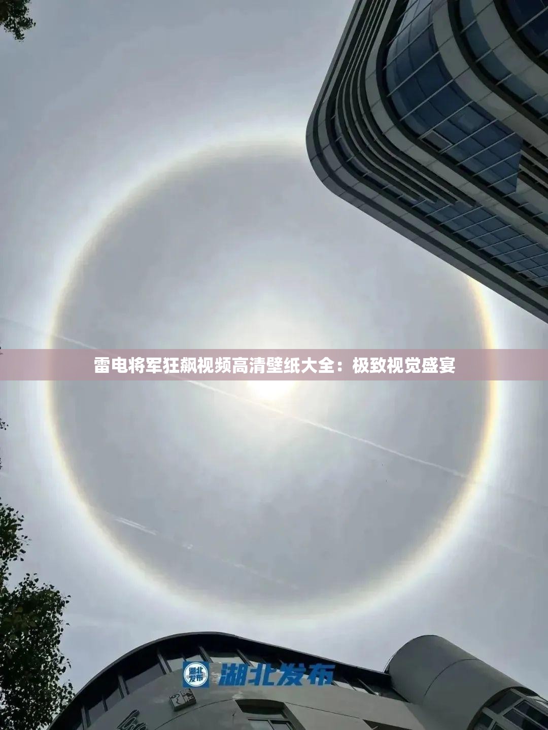 雷电将军狂飙视频高清壁纸大全：极致视觉盛宴