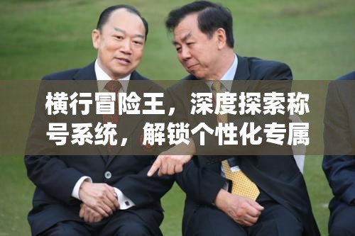 横行冒险王，深度探索称号系统，解锁个性化专属荣耀之路