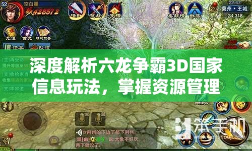 深度解析六龙争霸3D国家信息玩法，掌握资源管理艺术的关键策略