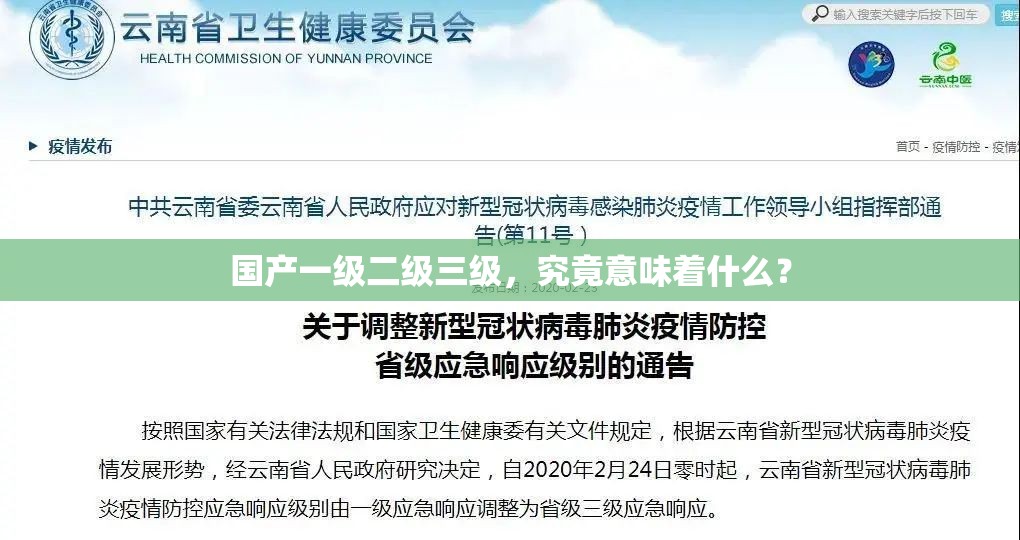 国产一级二级三级，究竟意味着什么？
