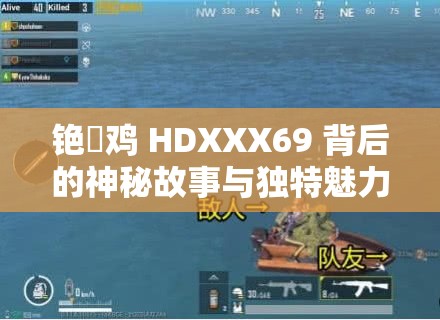 铯涗鸡 HDXXX69 背后的神秘故事与独特魅力