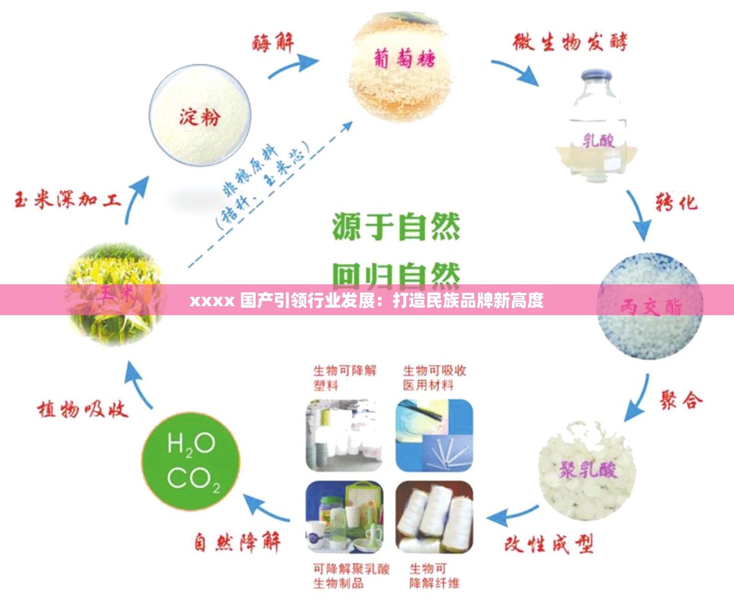 xxxx 国产引领行业发展：打造民族品牌新高度