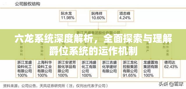 六龙系统深度解析，全面探索与理解爵位系统的运作机制