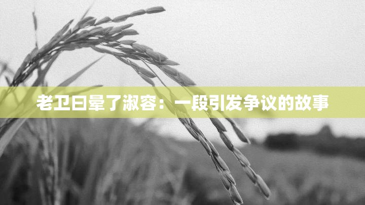 老卫曰晕了淑容：一段引发争议的故事