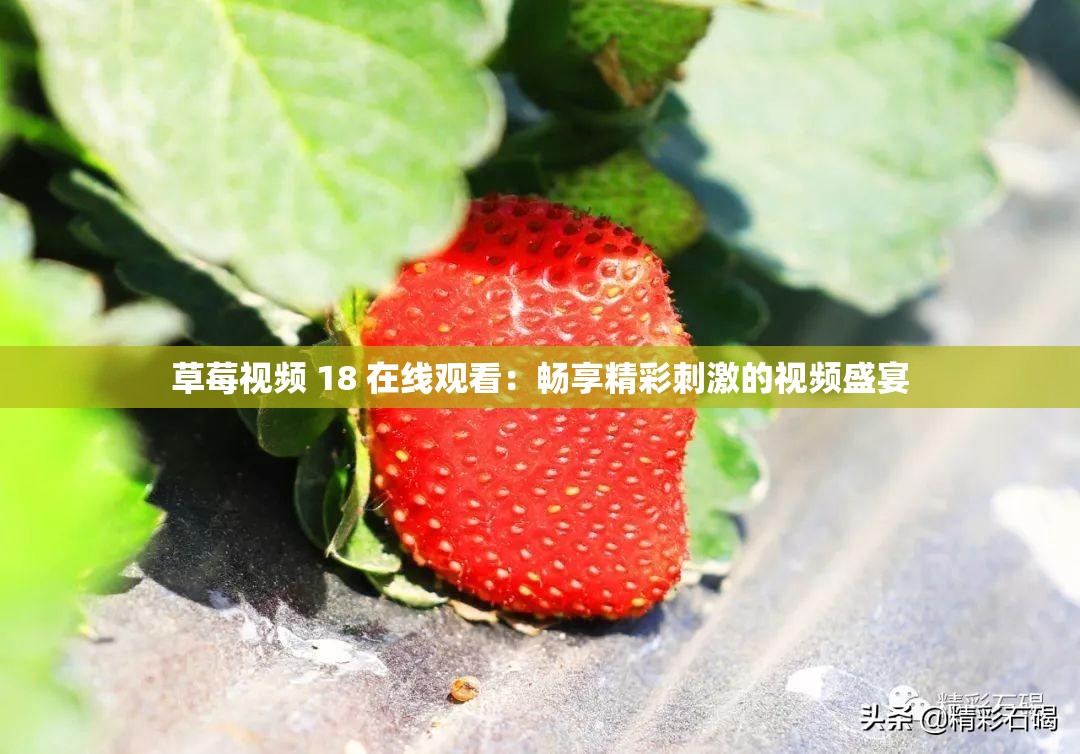 草莓视频 18 在线观看：畅享精彩刺激的视频盛宴