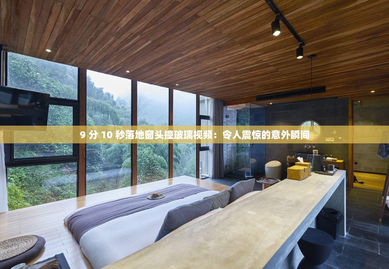 9 分 10 秒落地窗头撞玻璃视频：令人震惊的意外瞬间
