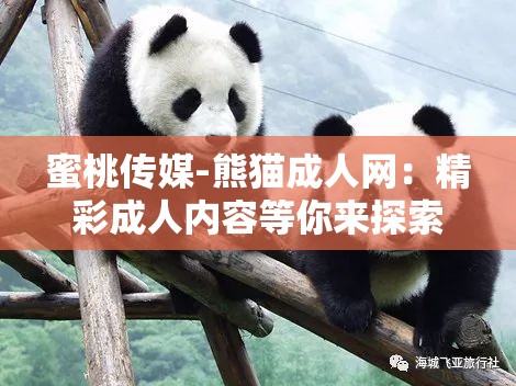 蜜桃传媒-熊猫成人网：精彩成人内容等你来探索