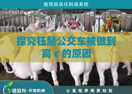 探究钰慧公交车被做到高 c 的原因