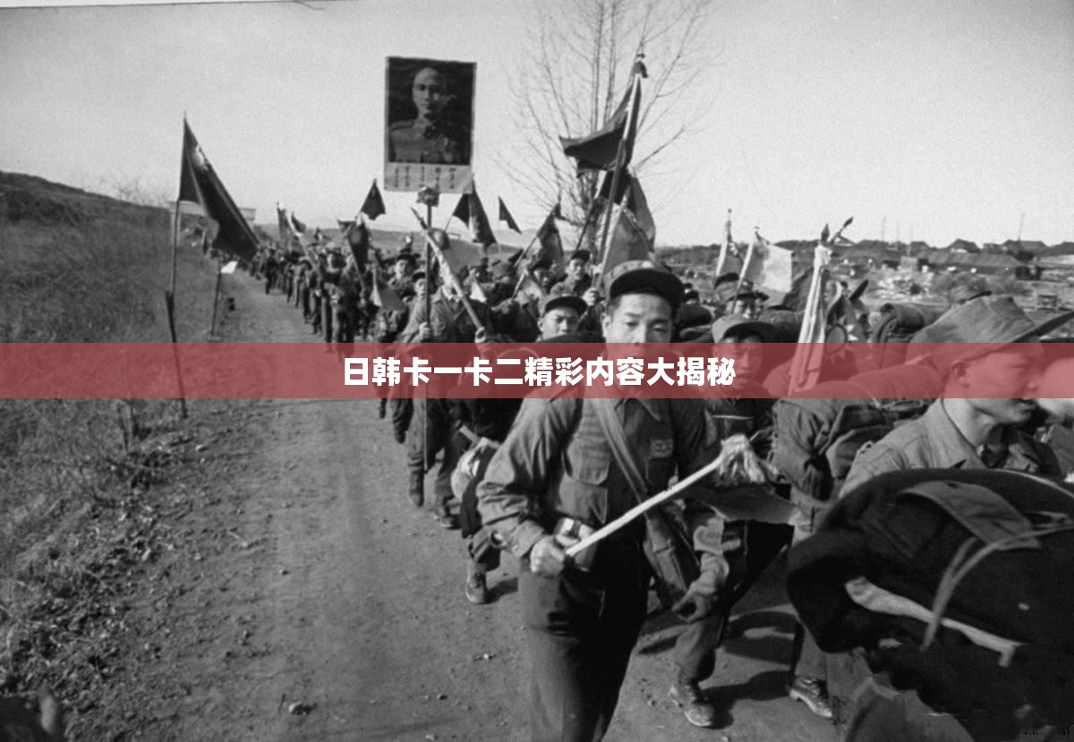 日韩卡一卡二精彩内容大揭秘