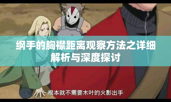 纲手的胸襟距离观察方法之详细解析与深度探讨