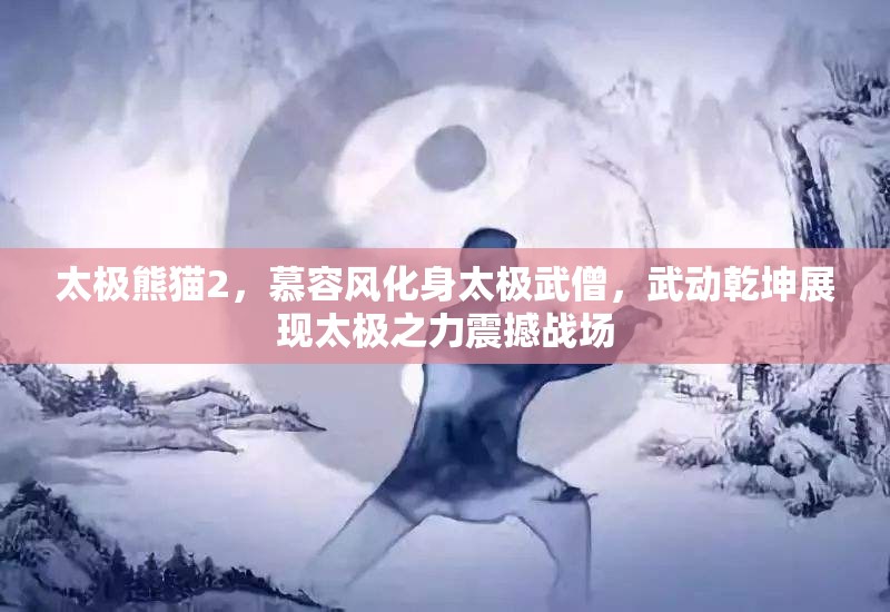 太极熊猫2，慕容风化身太极武僧，武动乾坤展现太极之力震撼战场