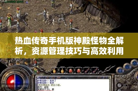热血传奇手机版神殿怪物全解析，资源管理技巧与高效利用策略，避免战斗资源浪费