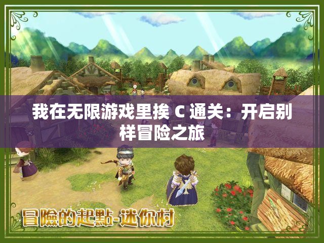 我在无限游戏里挨 C 通关：开启别样冒险之旅