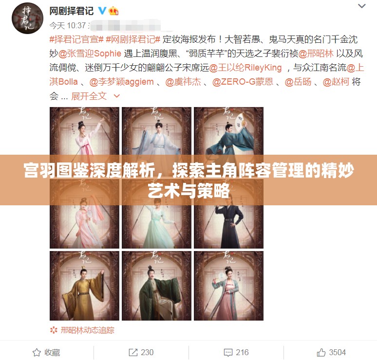 宫羽图鉴深度解析，探索主角阵容管理的精妙艺术与策略