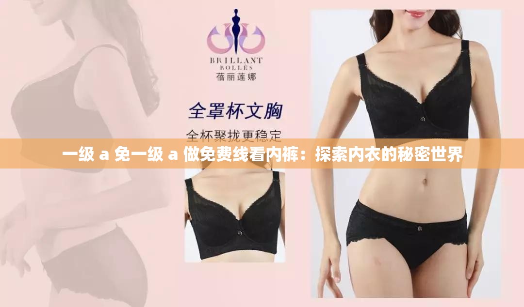一级 a 免一级 a 做免费线看内裤：探索内衣的秘密世界