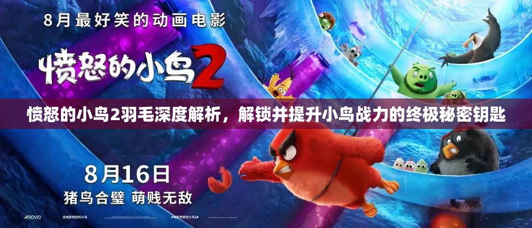 愤怒的小鸟2羽毛深度解析，解锁并提升小鸟战力的终极秘密钥匙