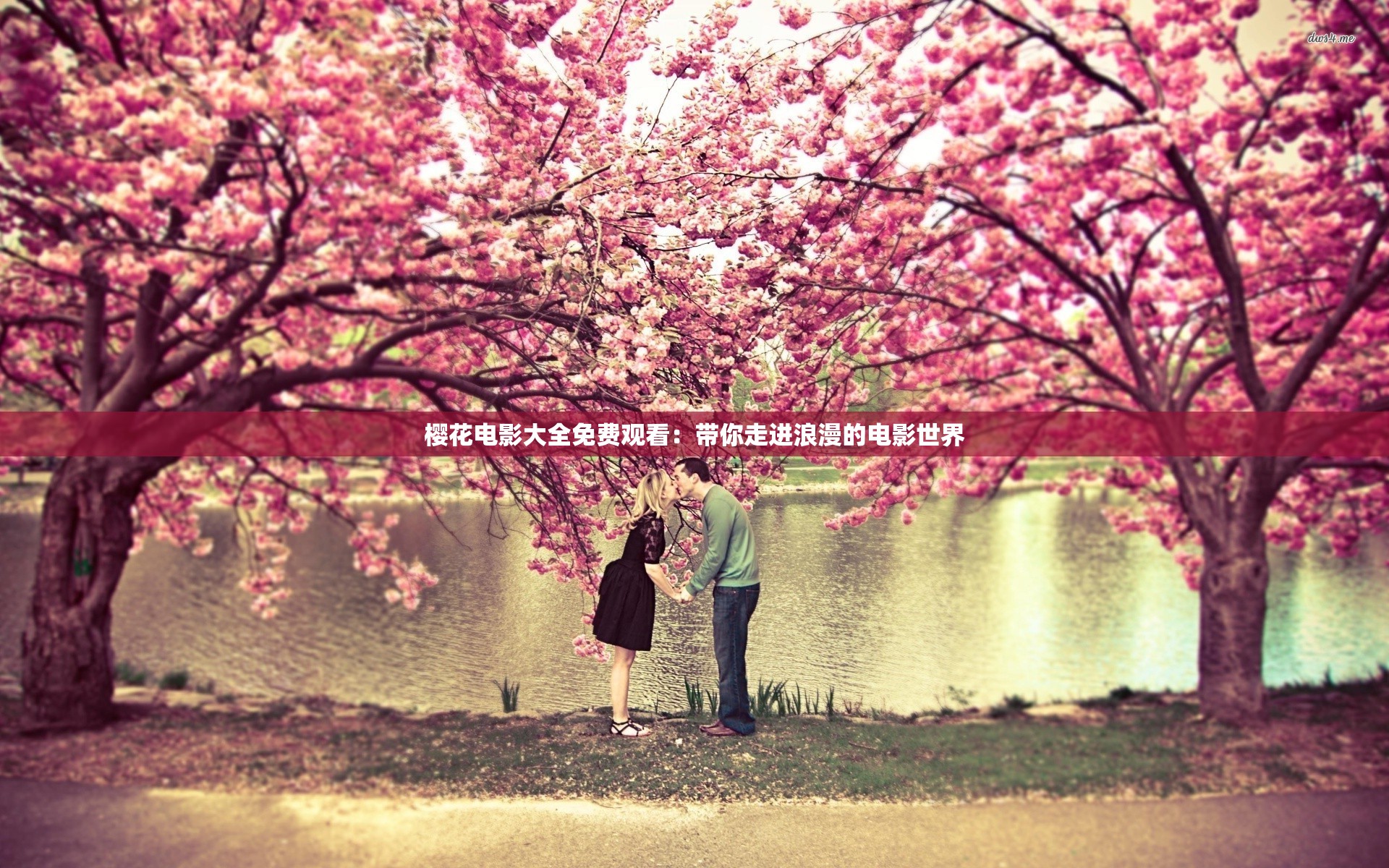 樱花电影大全免费观看：带你走进浪漫的电影世界