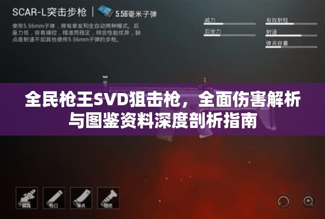 全民枪王SVD狙击枪，全面伤害解析与图鉴资料深度剖析指南