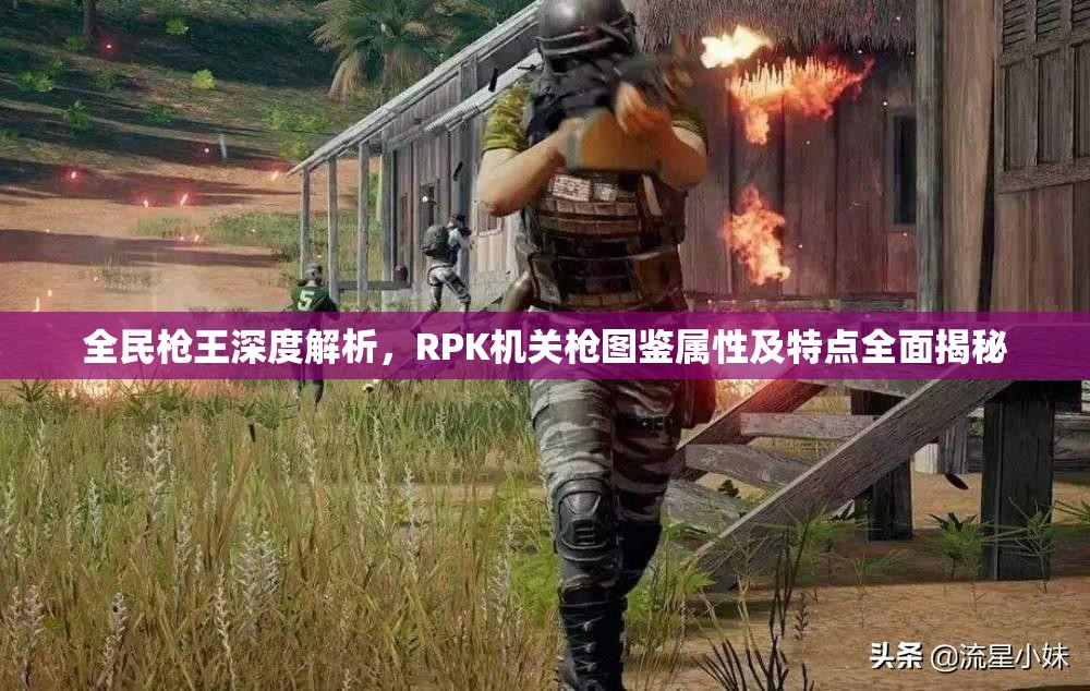 全民枪王深度解析，RPK机关枪图鉴属性及特点全面揭秘