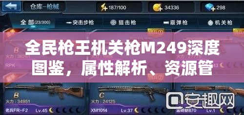 全民枪王机关枪M249深度图鉴，属性解析、资源管理技巧及价值最大化策略