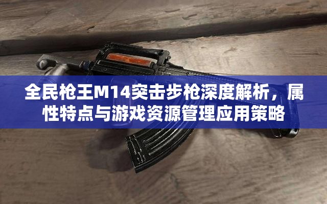 全民枪王M14突击步枪深度解析，属性特点与游戏资源管理应用策略