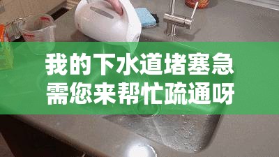 我的下水道堵塞急需您来帮忙疏通呀