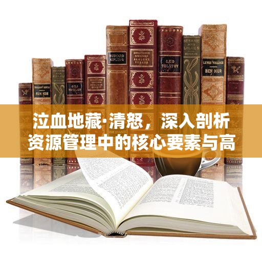 泣血地藏·清怒，深入剖析资源管理中的核心要素与高效策略