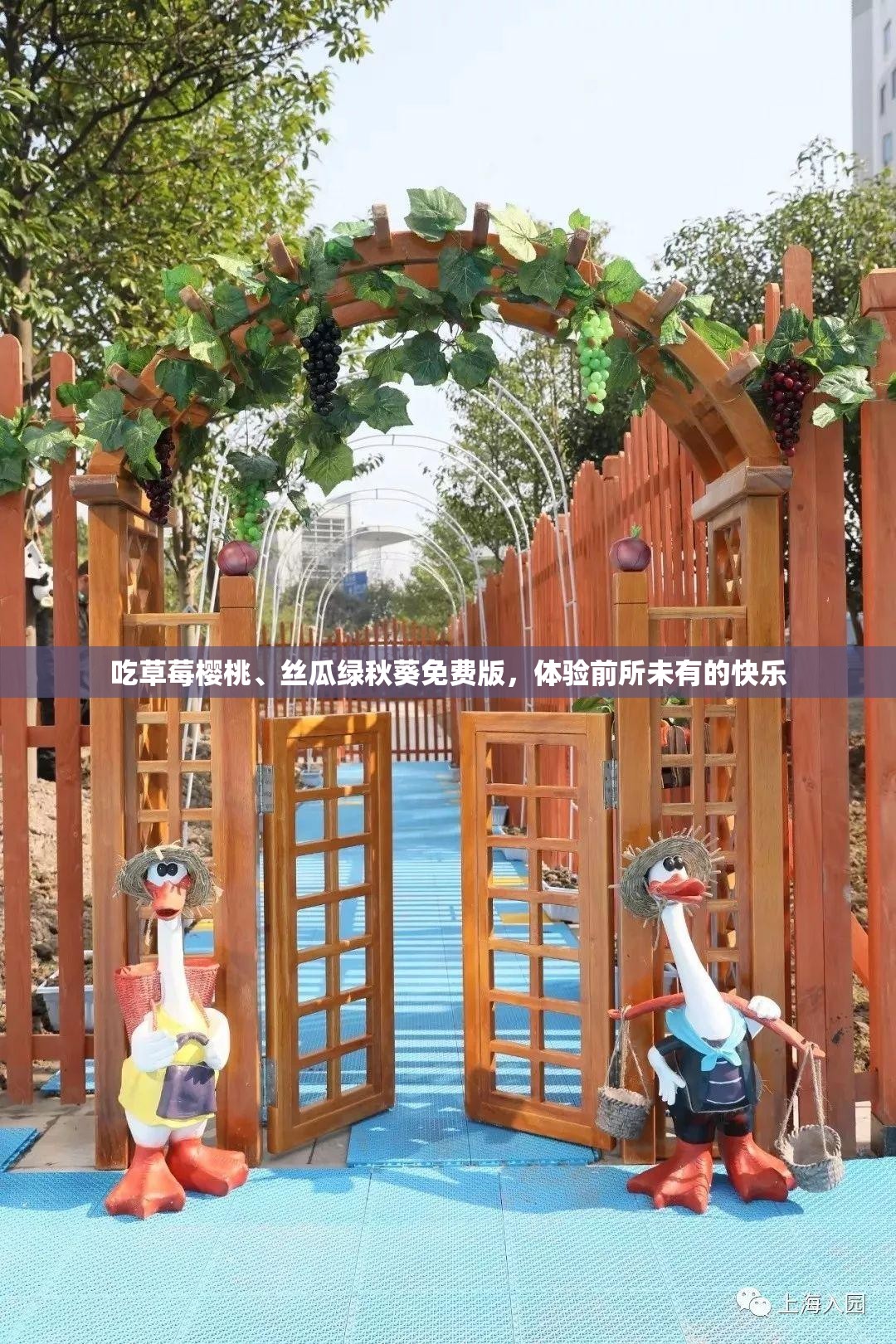 吃草莓樱桃、丝瓜绿秋葵免费版，体验前所未有的快乐