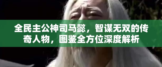 全民主公神司马懿，智谋无双的传奇人物，图鉴全方位深度解析