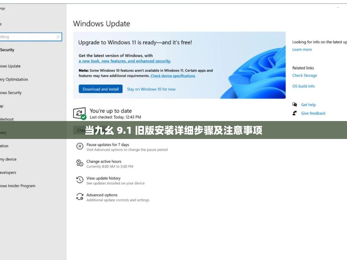 当九幺 9.1 旧版安装详细步骤及注意事项