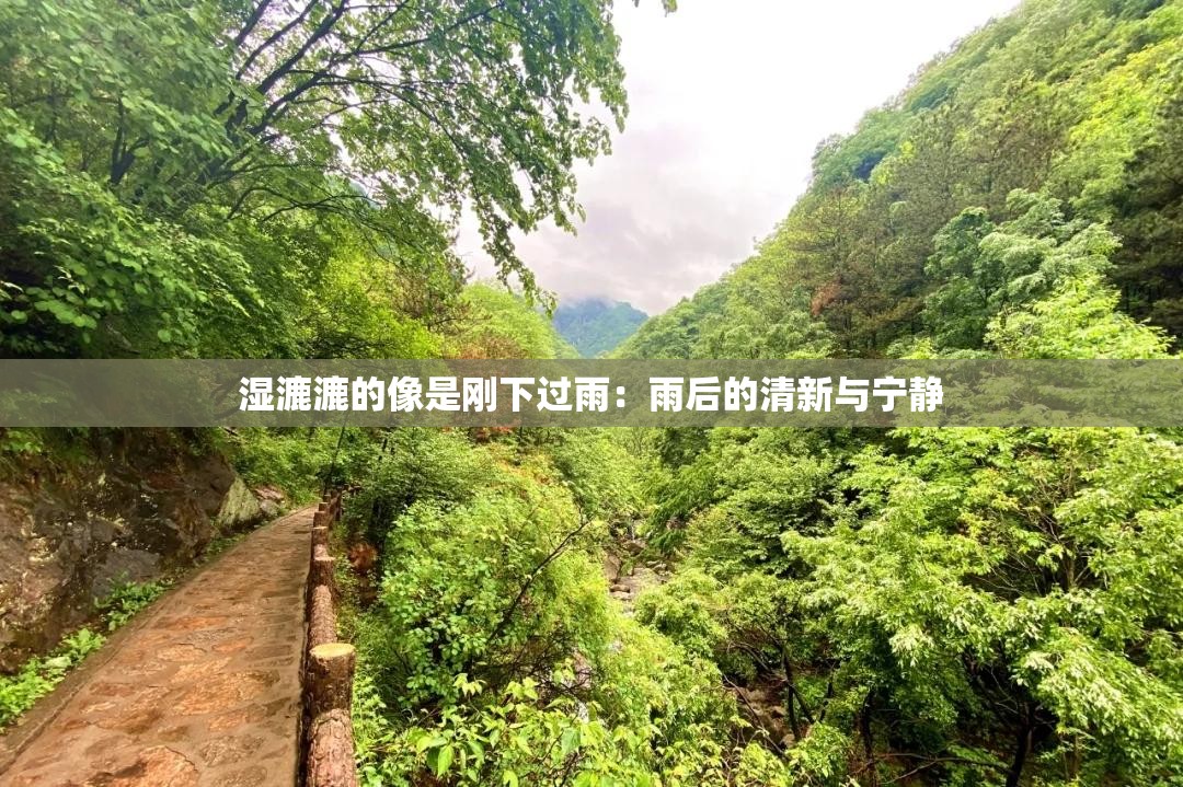 湿漉漉的像是刚下过雨：雨后的清新与宁静