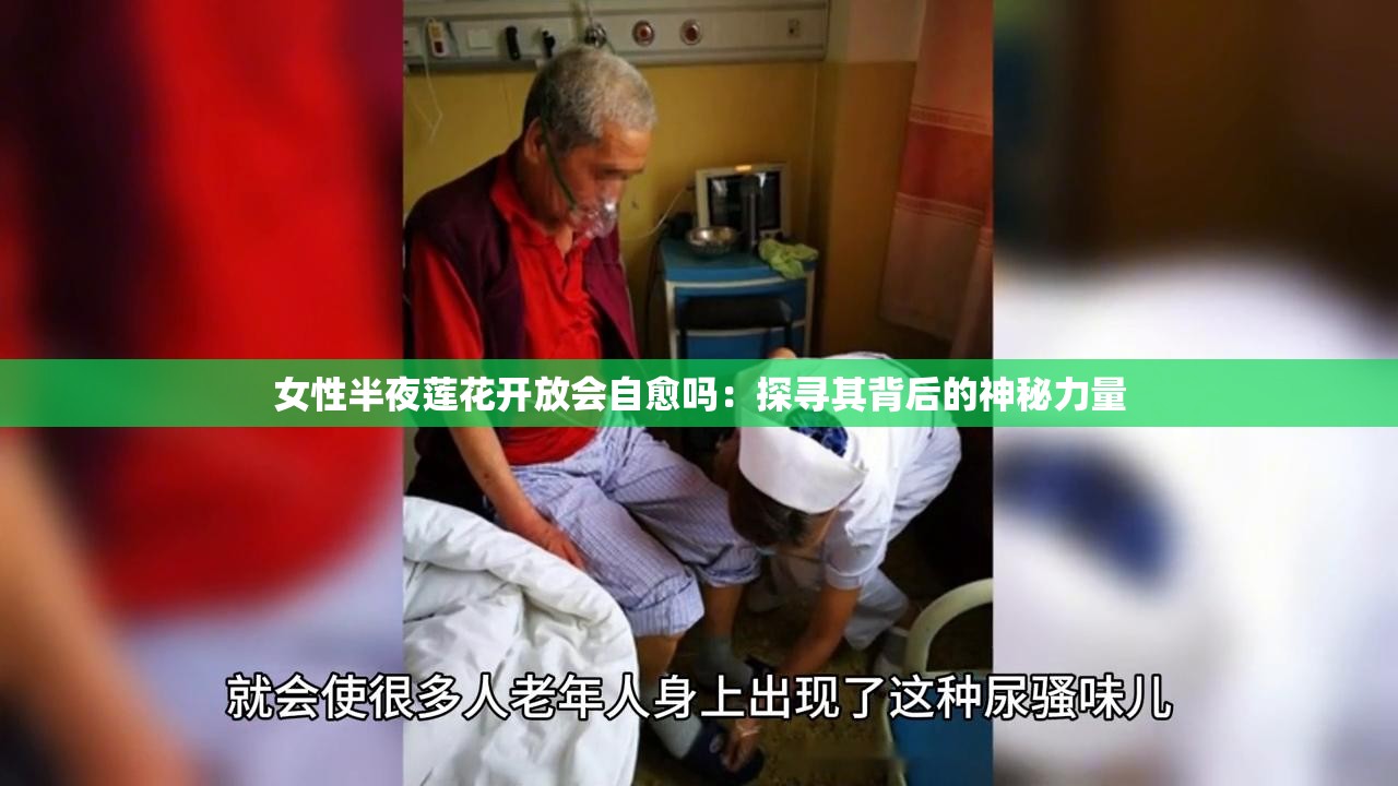 女性半夜莲花开放会自愈吗：探寻其背后的神秘力量