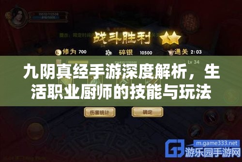 九阴真经手游深度解析，生活职业厨师的技能与玩法全攻略
