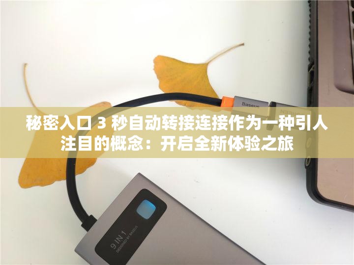 秘密入口 3 秒自动转接连接作为一种引人注目的概念：开启全新体验之旅