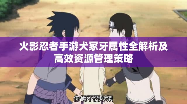 火影忍者手游犬冢牙属性全解析及高效资源管理策略
