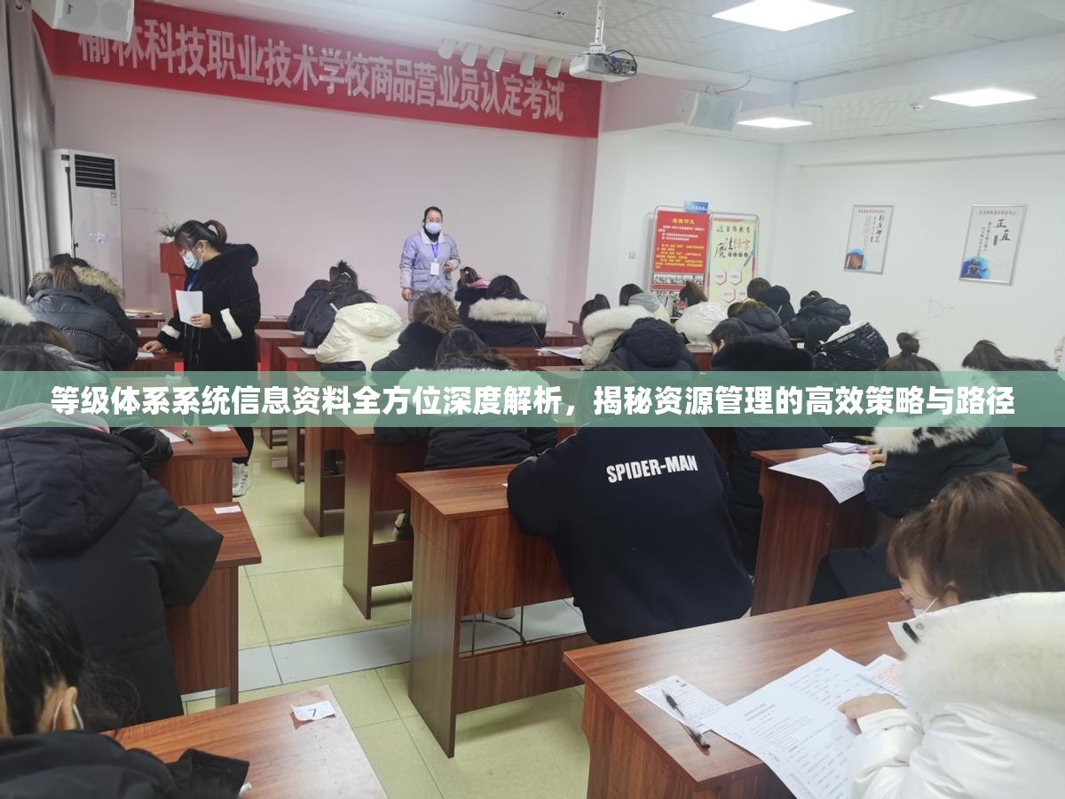 等级体系系统信息资料全方位深度解析，揭秘资源管理的高效策略与路径