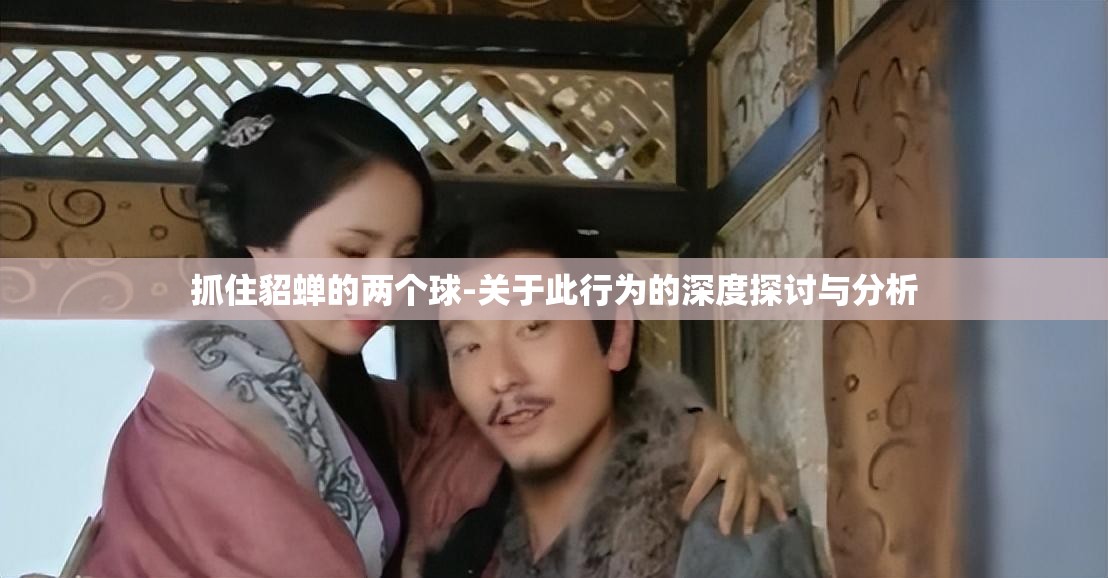 抓住貂蝉的两个球-关于此行为的深度探讨与分析